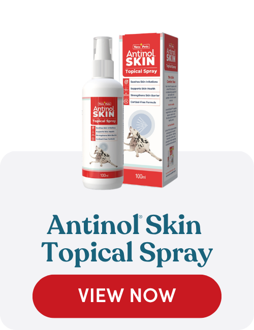 Antinol Skin Topical Spray for soothing sensitive skin and supporting the protective skin barrier in dogs
