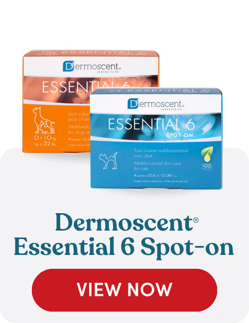 Dermoscent Essential 6 Spot-On skin and coat support for dogs and cats