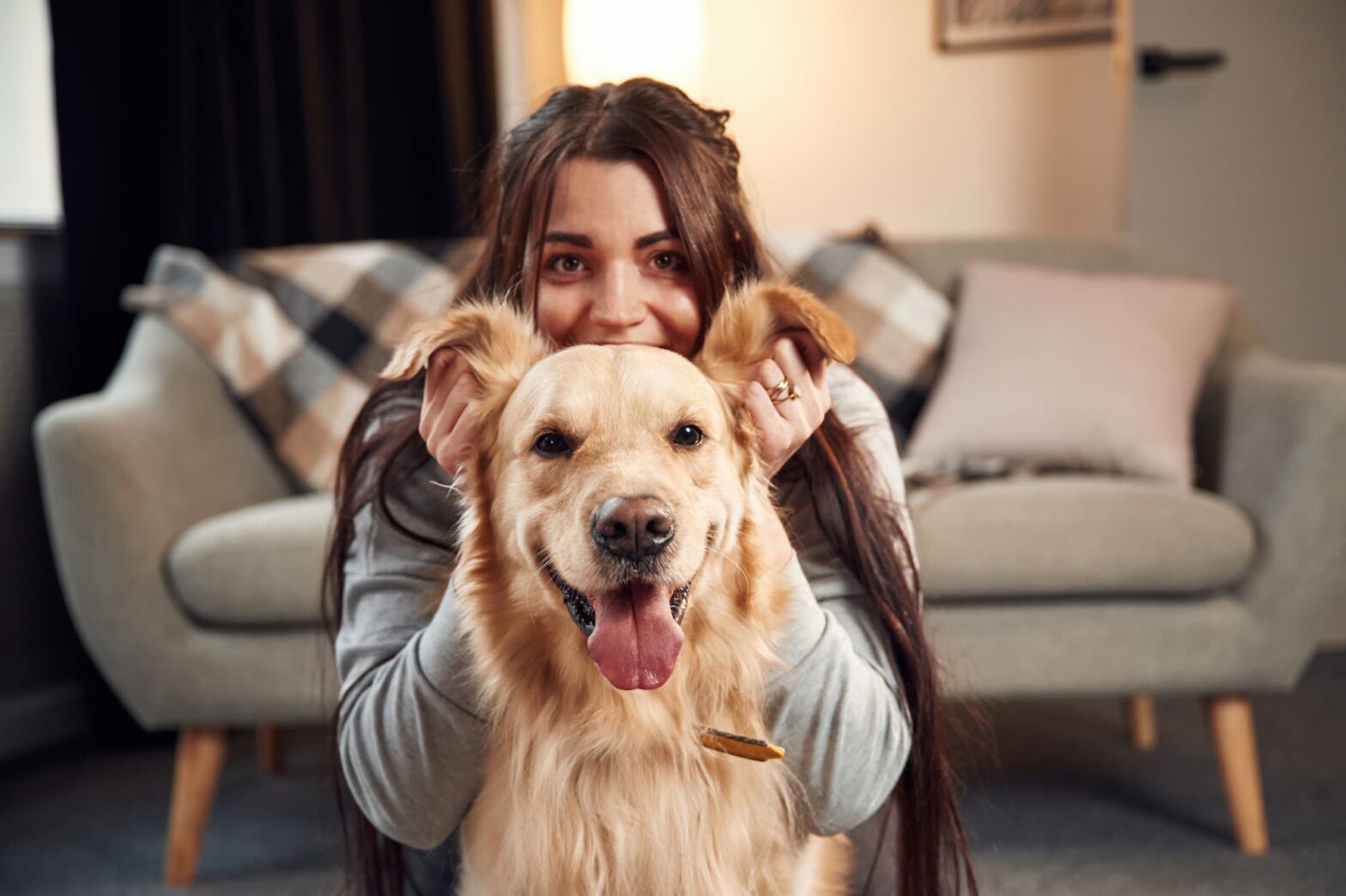 epiotic sis dog ear cleaner