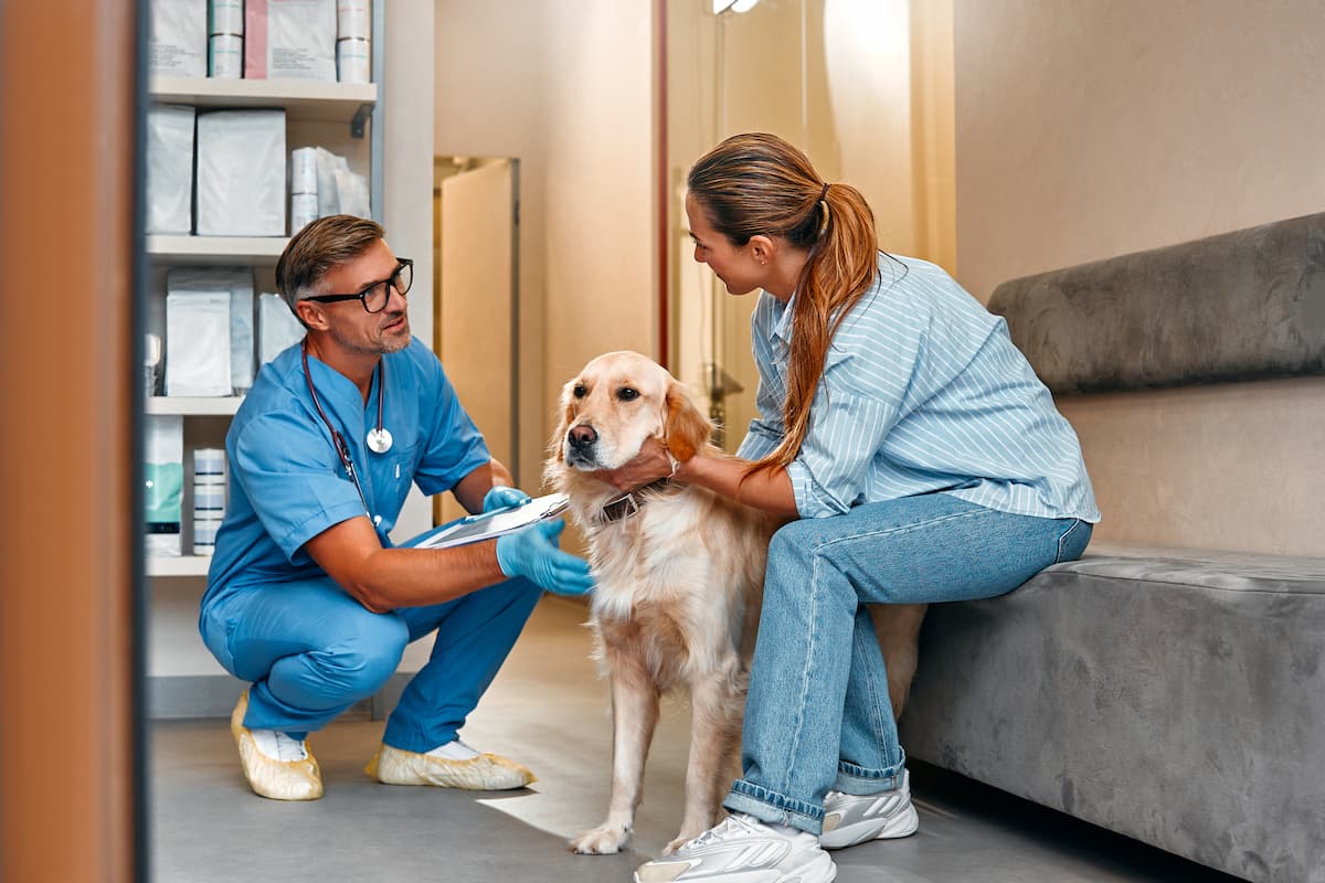 probiotics for dogs and cats