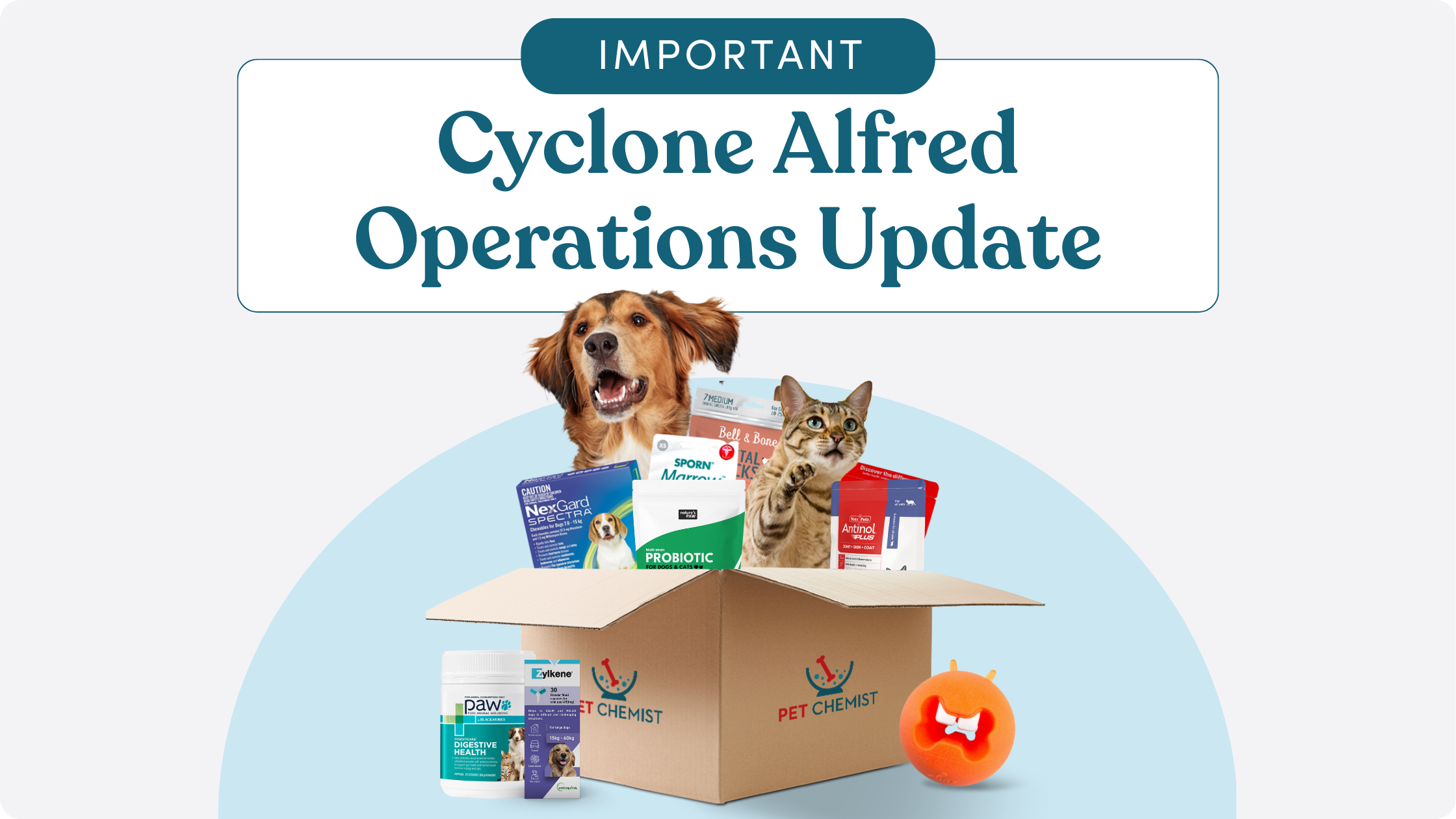 Cyclone Alfred Operations Update
