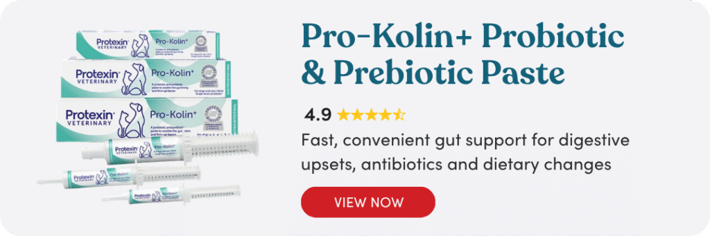 Pro-Kolin+ probiotic and prebiotic paste for dog digestive health