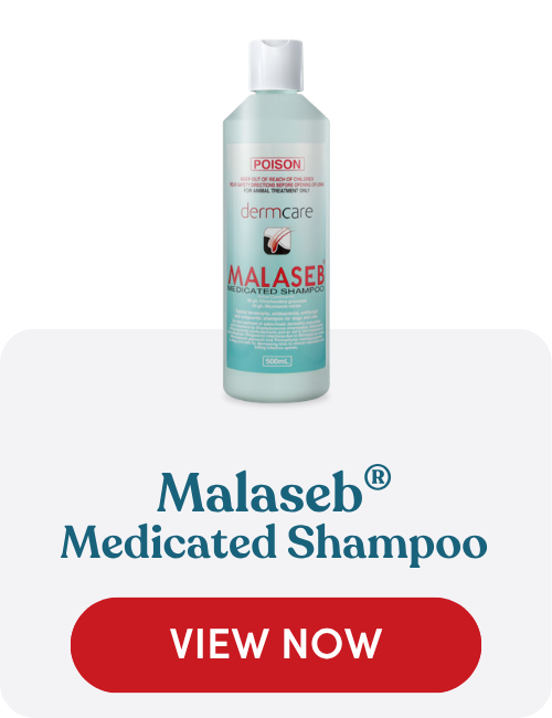 Malaseb medicated shampoo for managing bacterial and yeast skin infections in dogs and cats