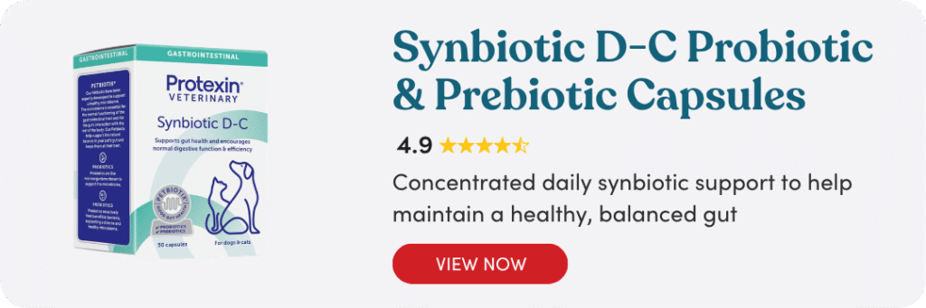 Synbiotic D-C probiotic and prebiotic capsules for dog digestive health